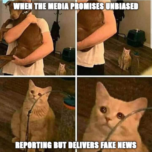 Mediafakenews